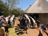 Team Building Johannesburg Zoo