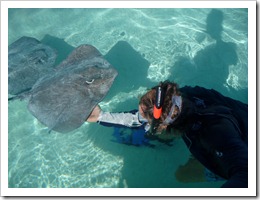 Carol having a happier interaction with a sting ray than Los Angeles