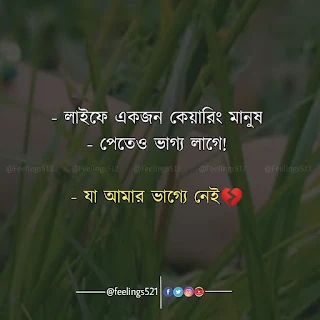 Bengali Romantic Quotes 20