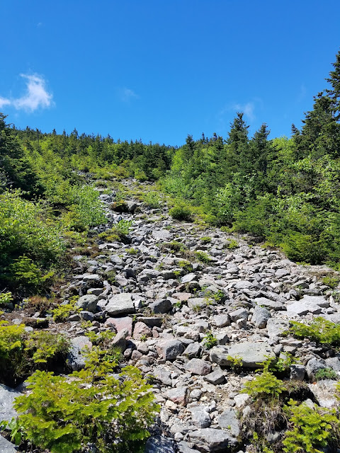 Finding and hiking the original 1860 Mt. Washington Carriage road, now known as the auto road, located in Gorham, New Hampshire at Pinkham Notch.