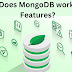 How Does MongoDB works & its Features?