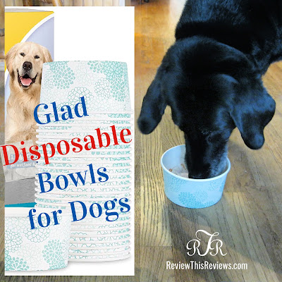 Disposable Dog Bowls