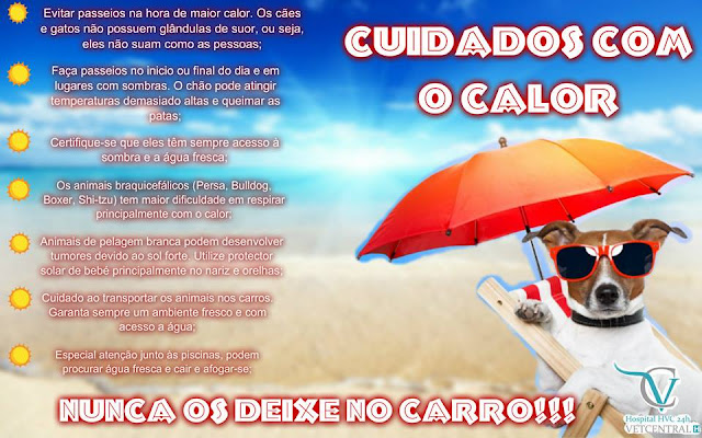 Resultado de imagem para cuidado com o calor