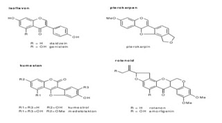 Keragaman dan Keunikan Struktur Kimia Flavonoid