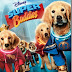 หนังออนไลน์ HD ซูเปอร์บั๊ดดี้ แก๊งน้องหมาซูเปอร์ฮีโร่ Super Buddies
