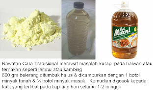Bukan doktor veterinar: Deticking, Deworming, Maggot Wound