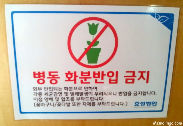 Cartel coreano que prohíbe entrar a un hospital con plantas y flores