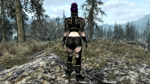 Custom armor for The Elder Scrolls V Skyrim