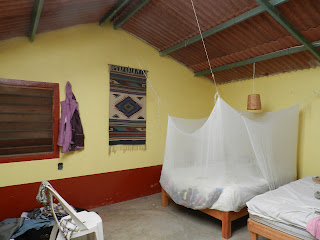 Mosquito net covered bed