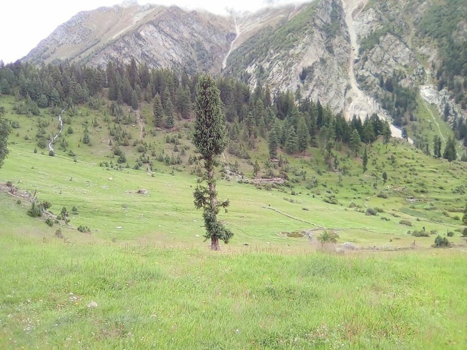 Khaltaro valley Haramosh valley. Khun Meadows Khaltaro valley. meadows in Haramosh valley. high mountain valley in Gilgit baltistan