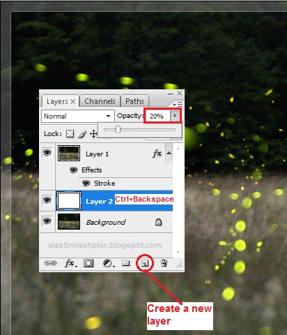 Create a New Layer