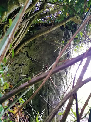 Standing Stone of Clopook, Laois