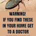 WARNING If You Find These In Your Home Get To a Doctor IMMEDIATELY!