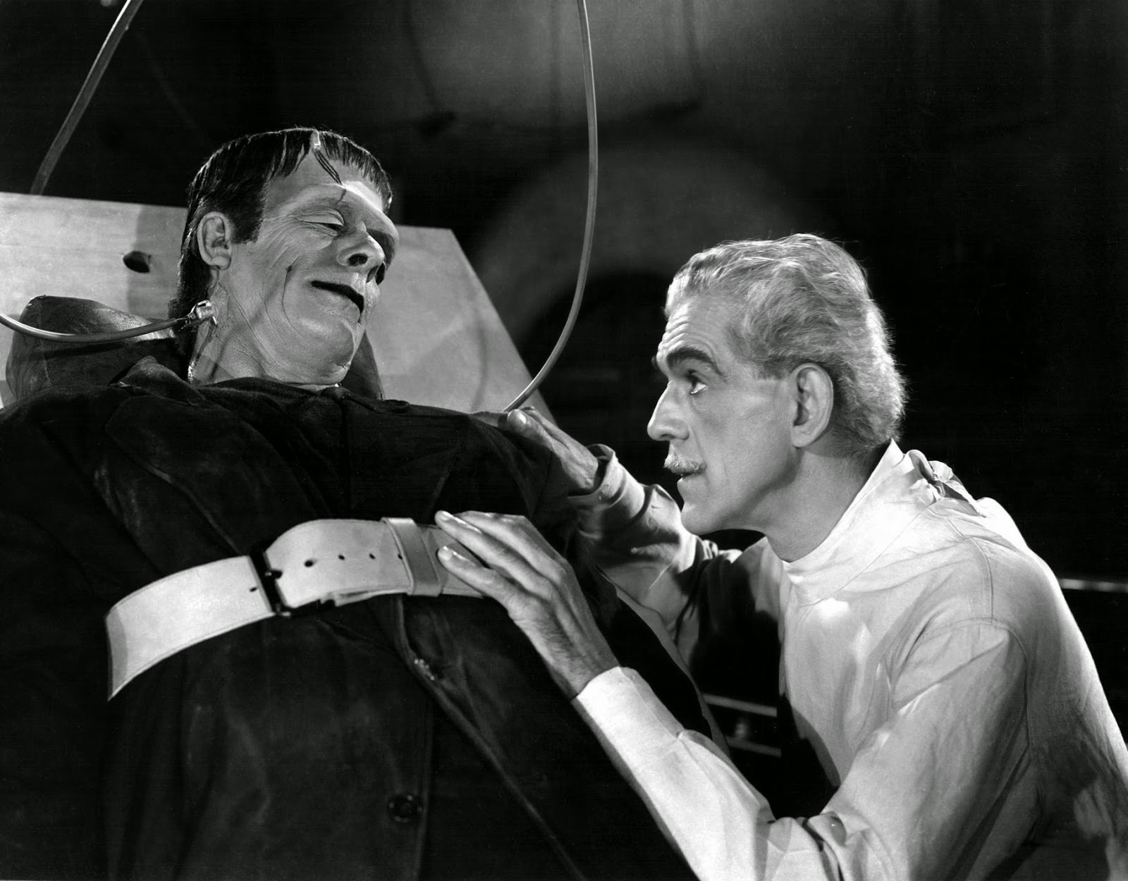Frankenstein's monster Story, Victor Frankenstein and his creature