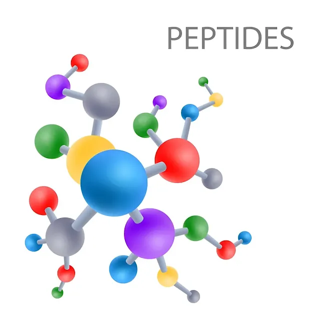 fungsi peptide dalam skincare
