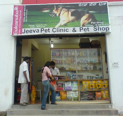  Store on Pet Shop Bangalore   Hsr Layout  Bangalore  India