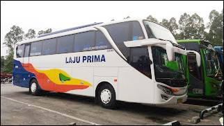 Kolesi Bus Malam SHD & Bus Pariwisata SHD 