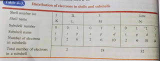 table of shell