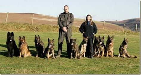 Escuela de Adiestramiento Canino en Madrid4