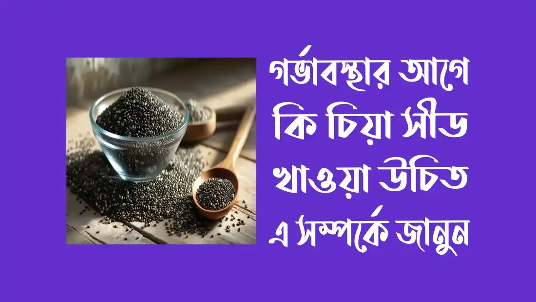 গর্ভাবস্থার-আগে-কি-চিয়া-সীড-খাওয়া-উচিত