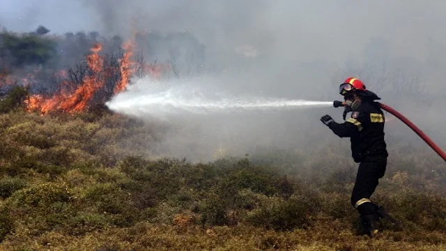 Πυρκαγιά στην Αργολίδα έκαψε 20 στρέμματα έκταση