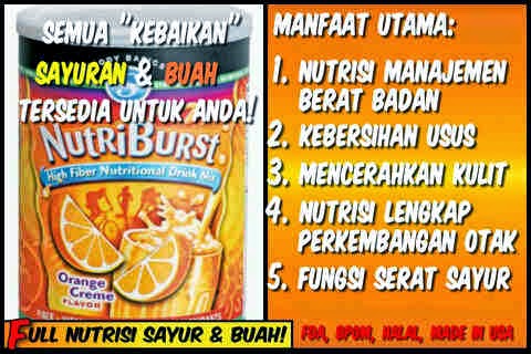 Manfaat Nutriburst