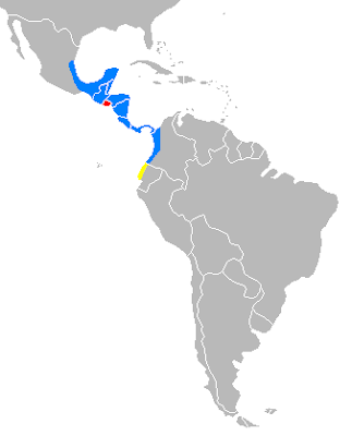 Range map of Baird's tapirs