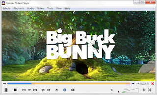 Torrent Video Player