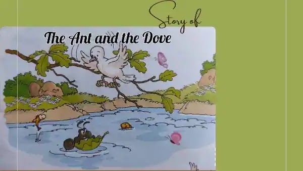 The Story of Ant and the Dove