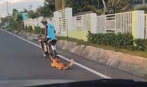 VIDEO | Denuncian conductor fue captado arrastrando un perro atado a su motor en Hato Mayor