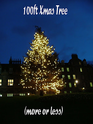 100ft Xmas Tree