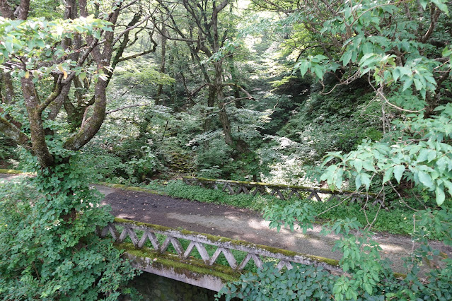 大山寺周辺の古い大山環状道路