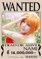 Nami One Piece Anime Cosplayer