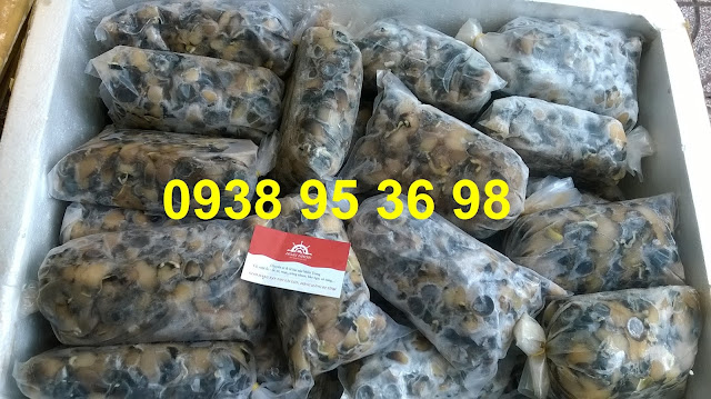 Bán hàu điếu sỉ và lẻ 0938 95 36 98  Giá mua cồi hàu điếu tốt nhất tại Sài Gòn, bán cồi hàu điếu giá rẻ ngon tại Sài Gòn, thịt ốc san hô, thịt hàu điếu, cung cấp ruột hàu điếu giá rẻ nhất, hàu điếu giao hàng tận nơi.   Các món ngon từ cồi hàu điếu - thịt ốc san hô: Hàu điếu nhúng lẩu, cồi hàu điếu nấu canh hoặc súp, ruột ốc san hô nhúng chanh chấm mù tạt, hàu điếu xào sa tế, hàu điếu sả ớt, cồi hàu điếu xào bơ tỏi, hàu điếu xào mì, hàu điếu nấu bún, cồi hàu điếu nấu cháo đều rất ngon,...  Liên hệ 0938 95 36 98