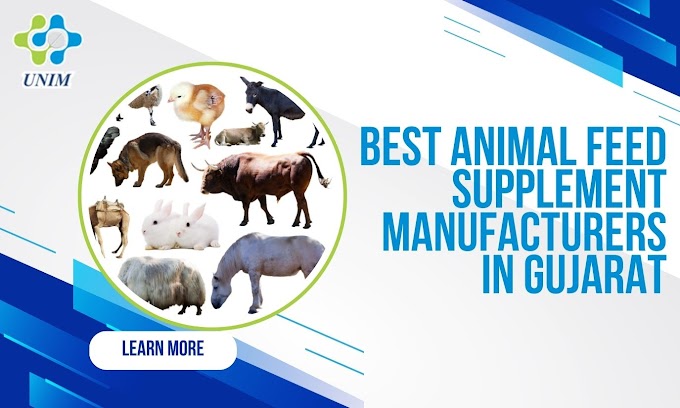 Best Animal Feed Supplement Manufacturers in Gujarat