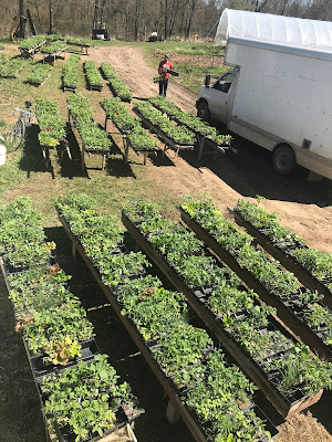 Edwin with over 200 individual orders ready to go to market