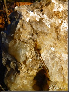 P1130528