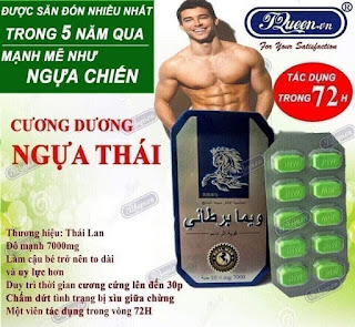 Ngựa Thái giúp cương dương