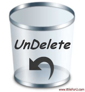 Undelete Files