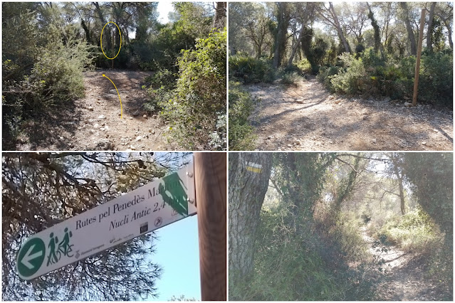 CUNIT - PUIG DE LA MINA - PUIGDETIULA-TURÓ DE L'AVENC - AVENC SANT ANTONI, Carrerada de Santa Coloma