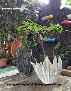 Membuat Pot dari Handuk Bekas #adiwiyata
