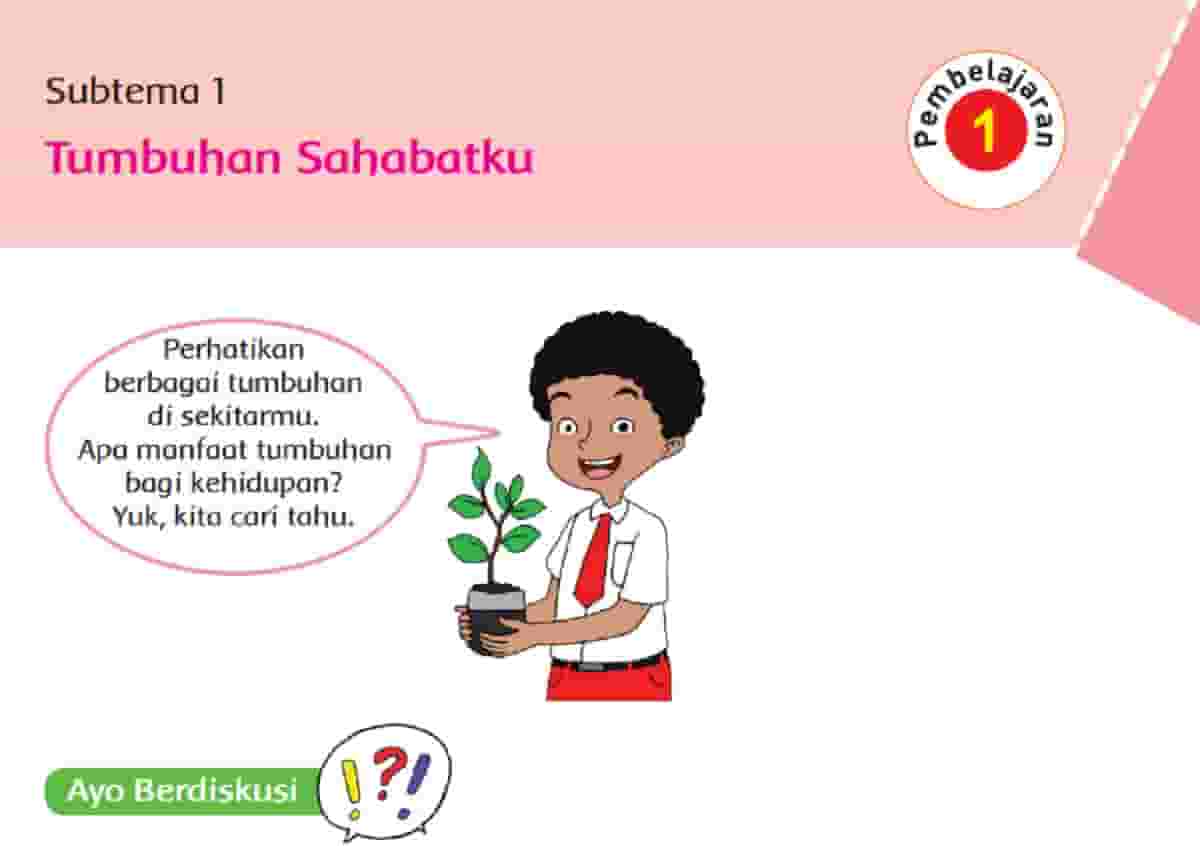 Kunci Jawaban Tema 1 Kelas 6 Subtema 1 Tumbuhan Sahabatku Pembelajaran 1 Sampai 6