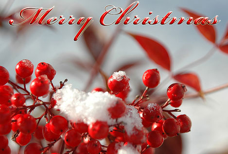  Happy Christmas Greeting Card Photo
