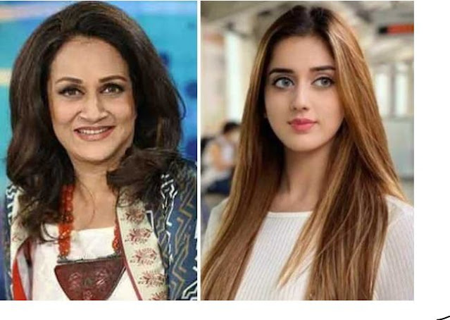 Janat Mirza and Bushra Ansari face to face on social media