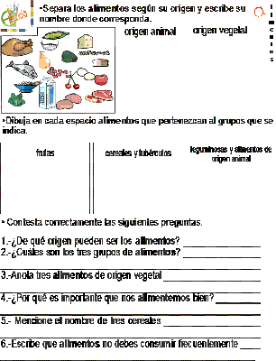Ejercicios de los alimentos para niños de primaria