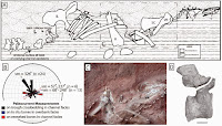 http://sciencythoughts.blogspot.co.uk/2014/10/a-new-titanosaur-from-middle-cretaceous.html