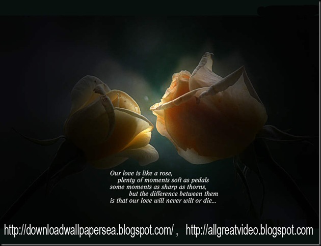image (5)