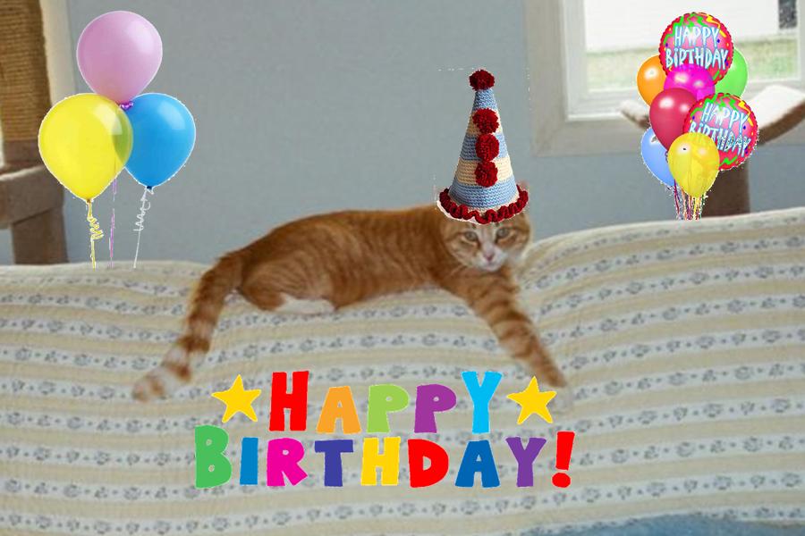 happy birthday cat picture. It#39;s our irthday!