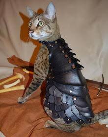 Armor khusus kucing di Jepang