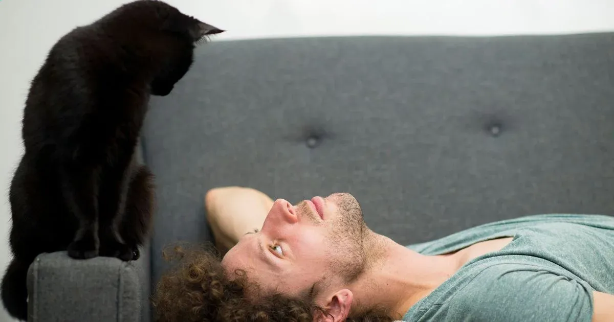 Black cat sitting above man's head and spiritual meaning